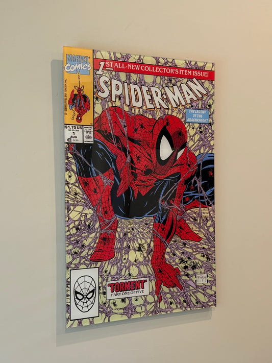 Spidey Comic Cover Wall Art