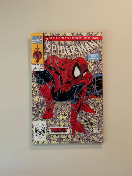 Spidey Comic Cover Wall Art